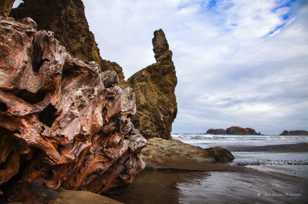 Bandon Beach driftwood-6892